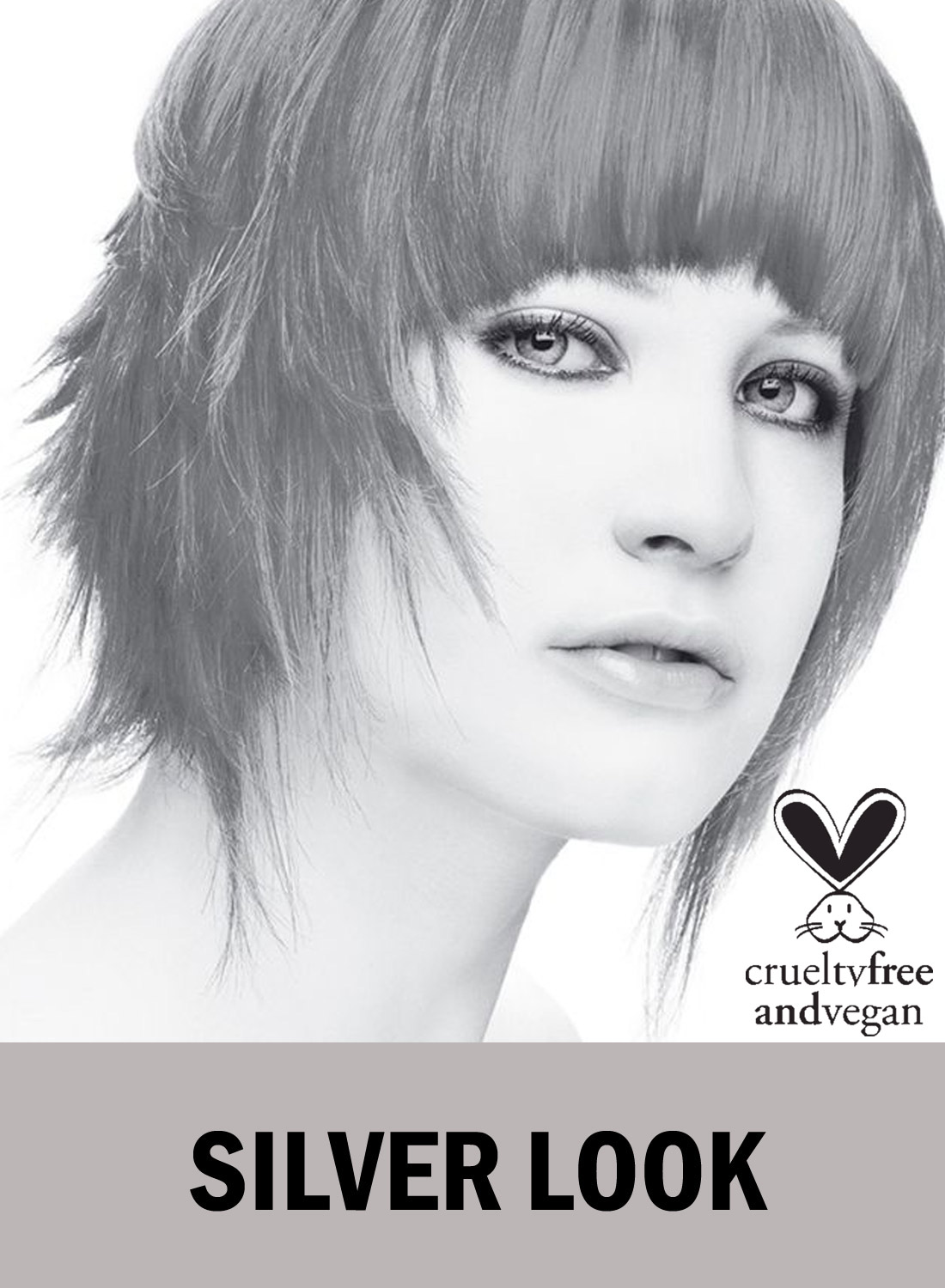 Hair Colour Star Silverlook