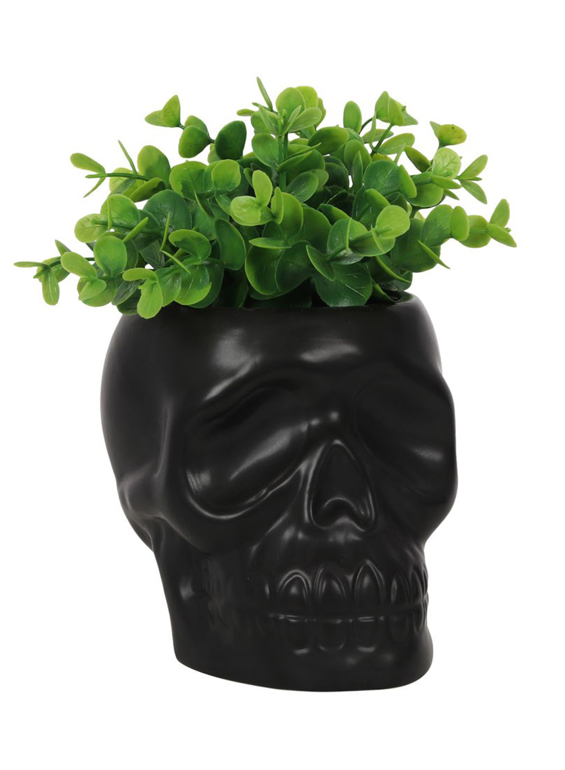 Black Skull Plant Pot