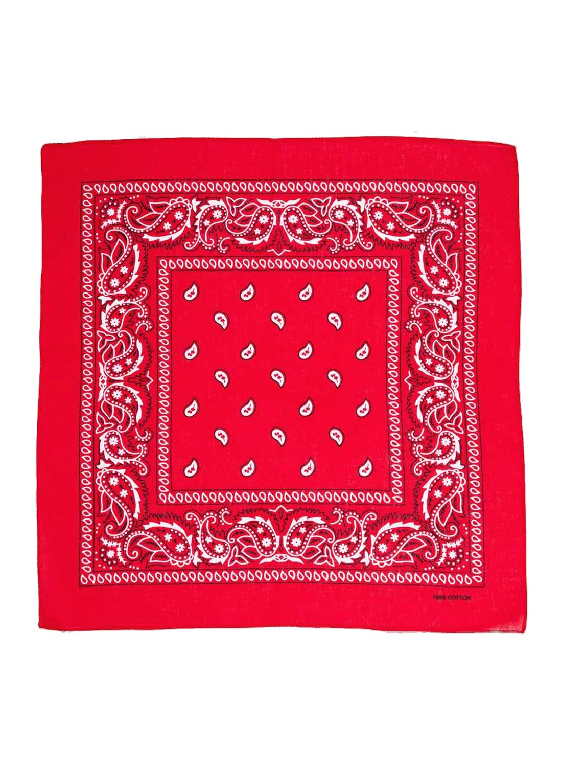 Paisley Bandana Red